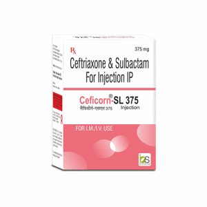 ceficorn-SL 375 Injection