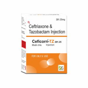 Ceficorn-TZ 281.25 Injection